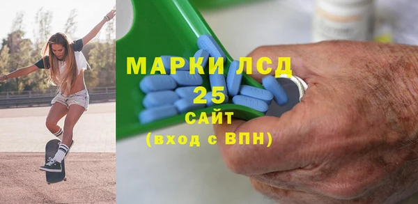 стаф Новокубанск