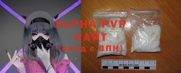 стаф Новокубанск