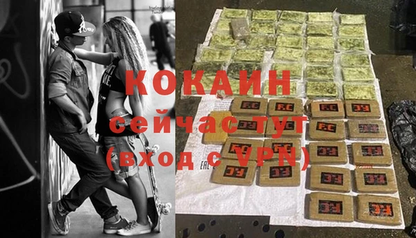 стаф Новокубанск