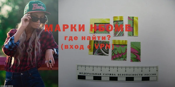 стаф Новокубанск
