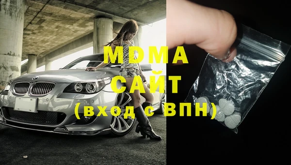 стаф Новокубанск