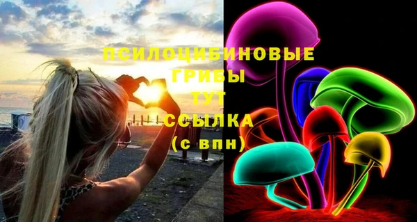 a pvp Новодвинск